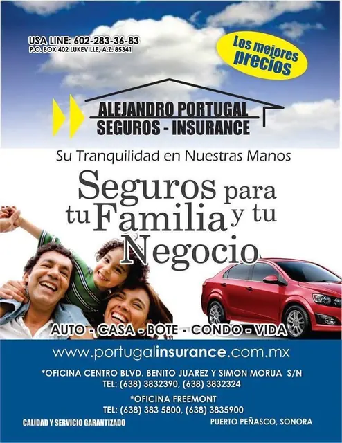 Alejandro Portugal Seguros — Insurance